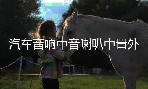 汽车音响中音喇叭中置外置家用环绕前后双喇叭2.5寸中音喇叭改装