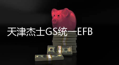 天津杰士GS统一EFB S95R电池适配丰田十四代皇冠原装启停汽车电瓶
