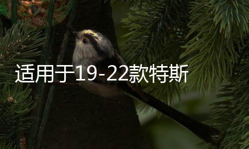 适用于19-22款特斯拉model3音响激活升级喇叭改装线解锁线 8升12
