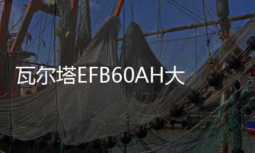 瓦尔塔EFB60AH大众朗逸plus新宝来POLO捷达新桑塔纳原装启停电瓶