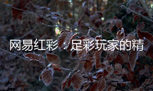 网易红彩：足彩玩家的精准导航灯塔