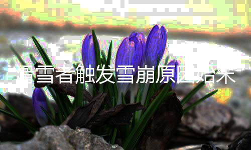 滑雪者触发雪崩原因始末 现被成功救援无生命危险