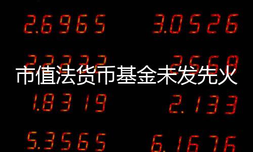 市值法货币基金未发先火，多家基金公司抢先上报市值法货币基金