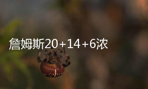 詹姆斯20+14+6浓眉24+8 湖人大胜绿军西部第五