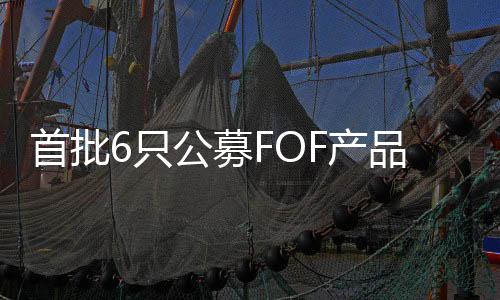 首批6只公募FOF产品中的5只开始发行