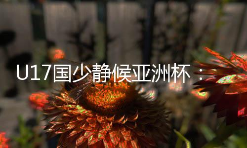 U17国少静候亚洲杯：挑战东道主沙特 不骄不怯